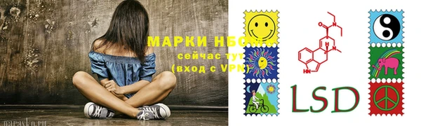 apvp Заволжье