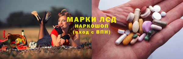 apvp Заволжье