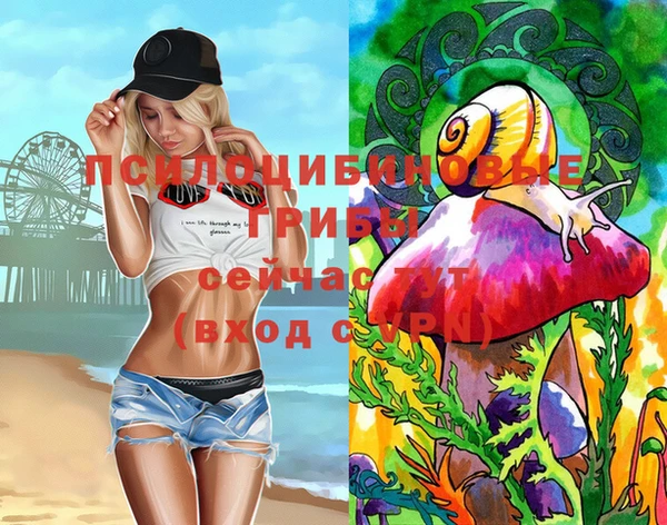 apvp Заволжье