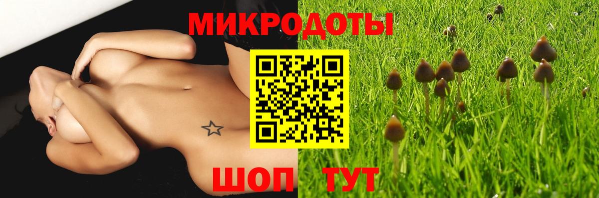 Галлюциногенные грибы GOLDEN TEACHER Заволжье