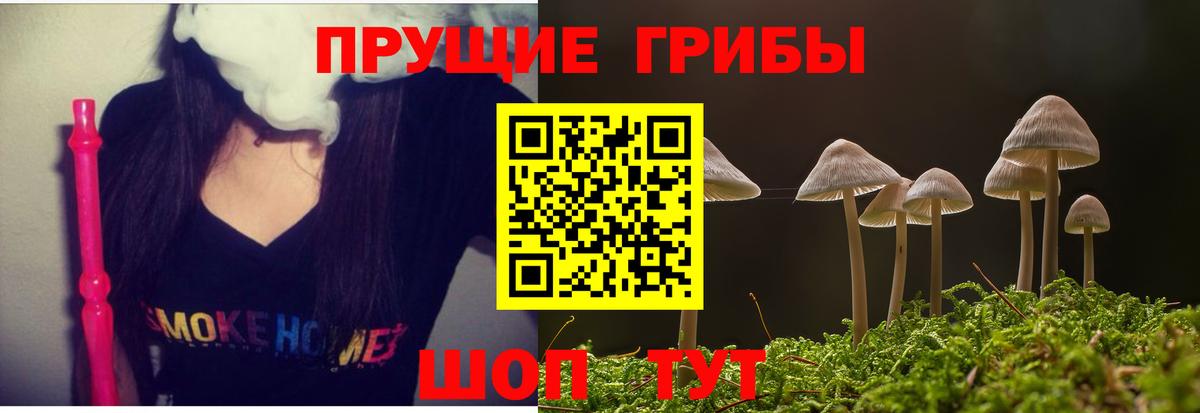 Псилоцибиновые грибы MAGIC MUSHROOMS  Псилоцибиновые грибы мицелий  Вход с VPN  Заволжье 